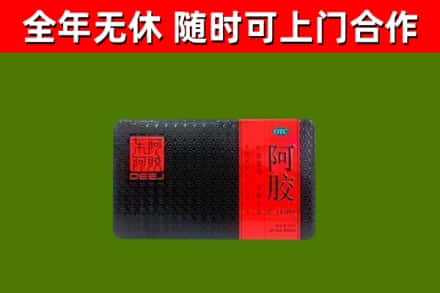 东宝区回收阿胶